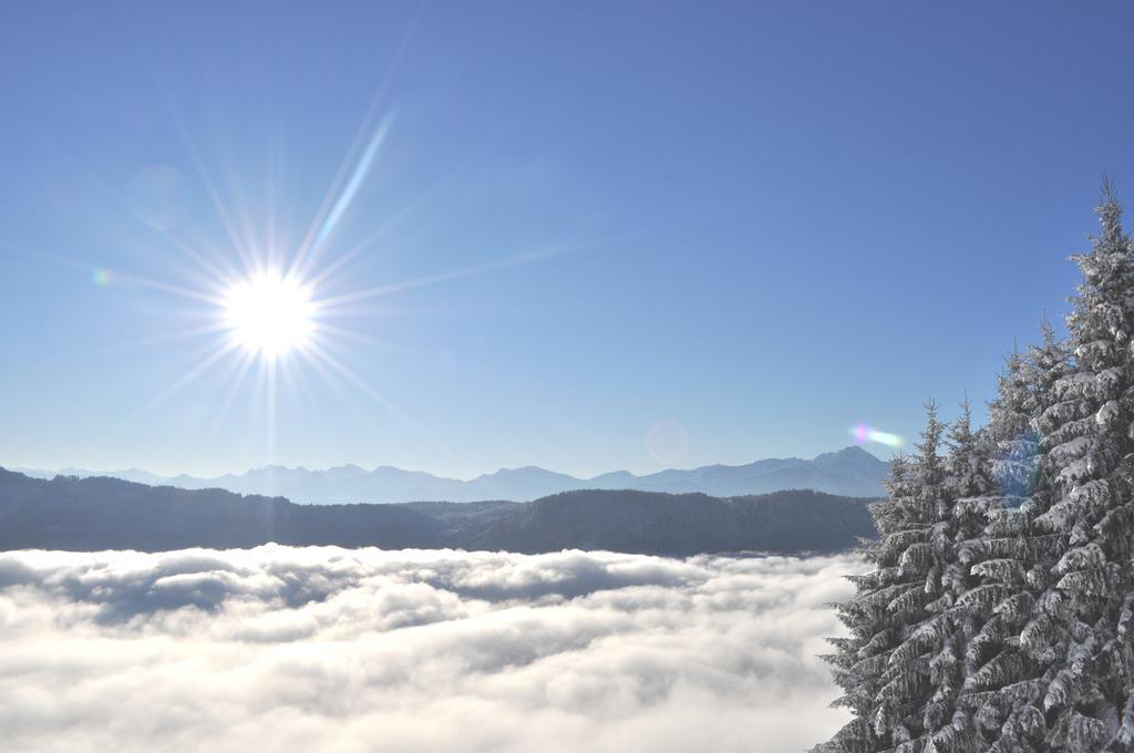 Mathiasl Panorama Ferienwohnungen Bodensdorf Cameră foto